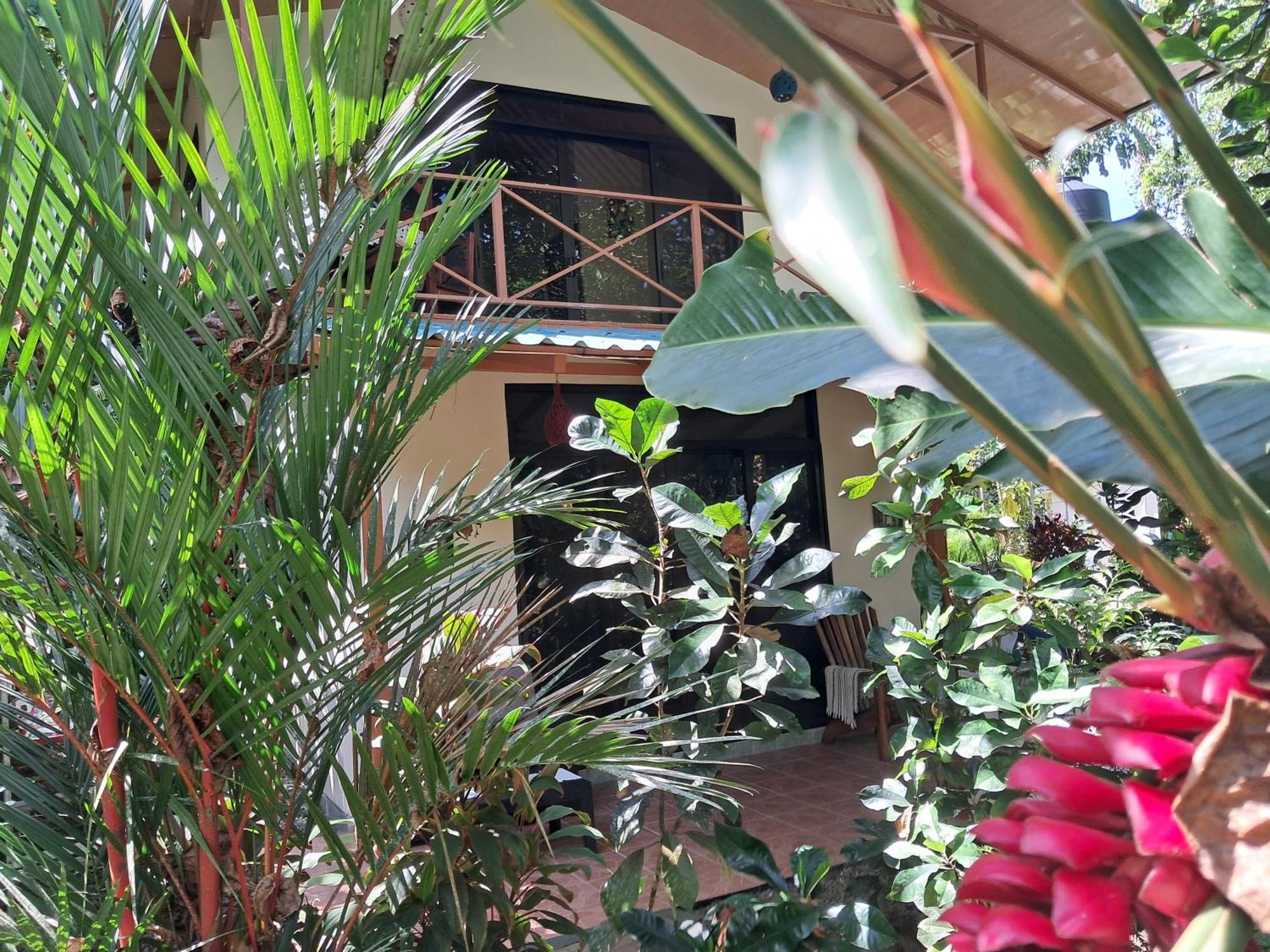 New Caribe Point Villa Cahuita Exterior foto