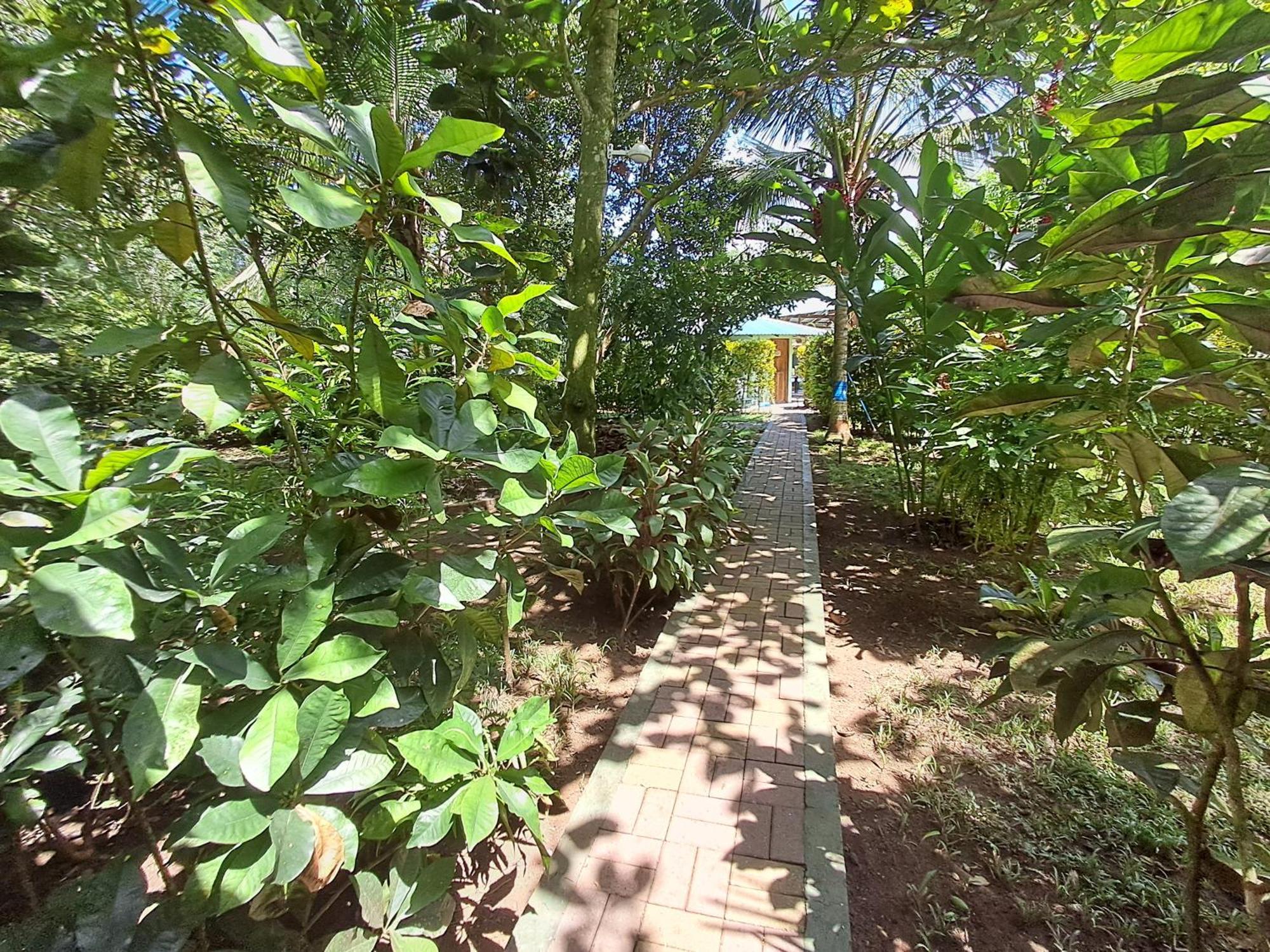 New Caribe Point Villa Cahuita Exterior foto