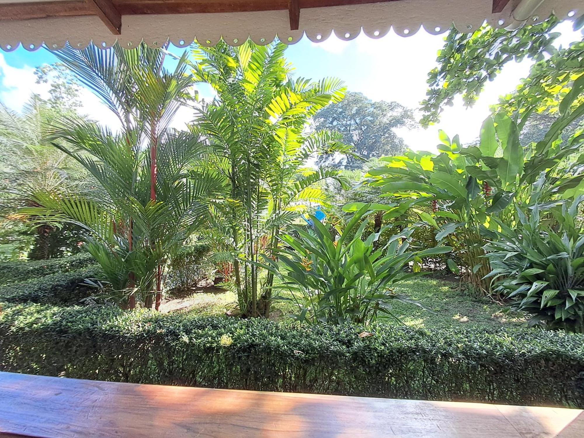 New Caribe Point Villa Cahuita Exterior foto