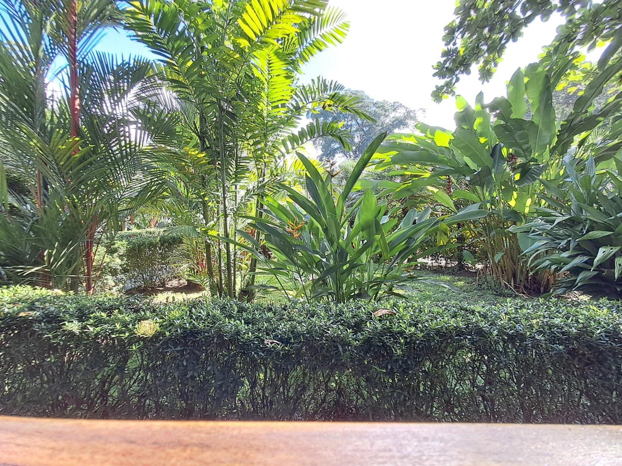 New Caribe Point Villa Cahuita Exterior foto
