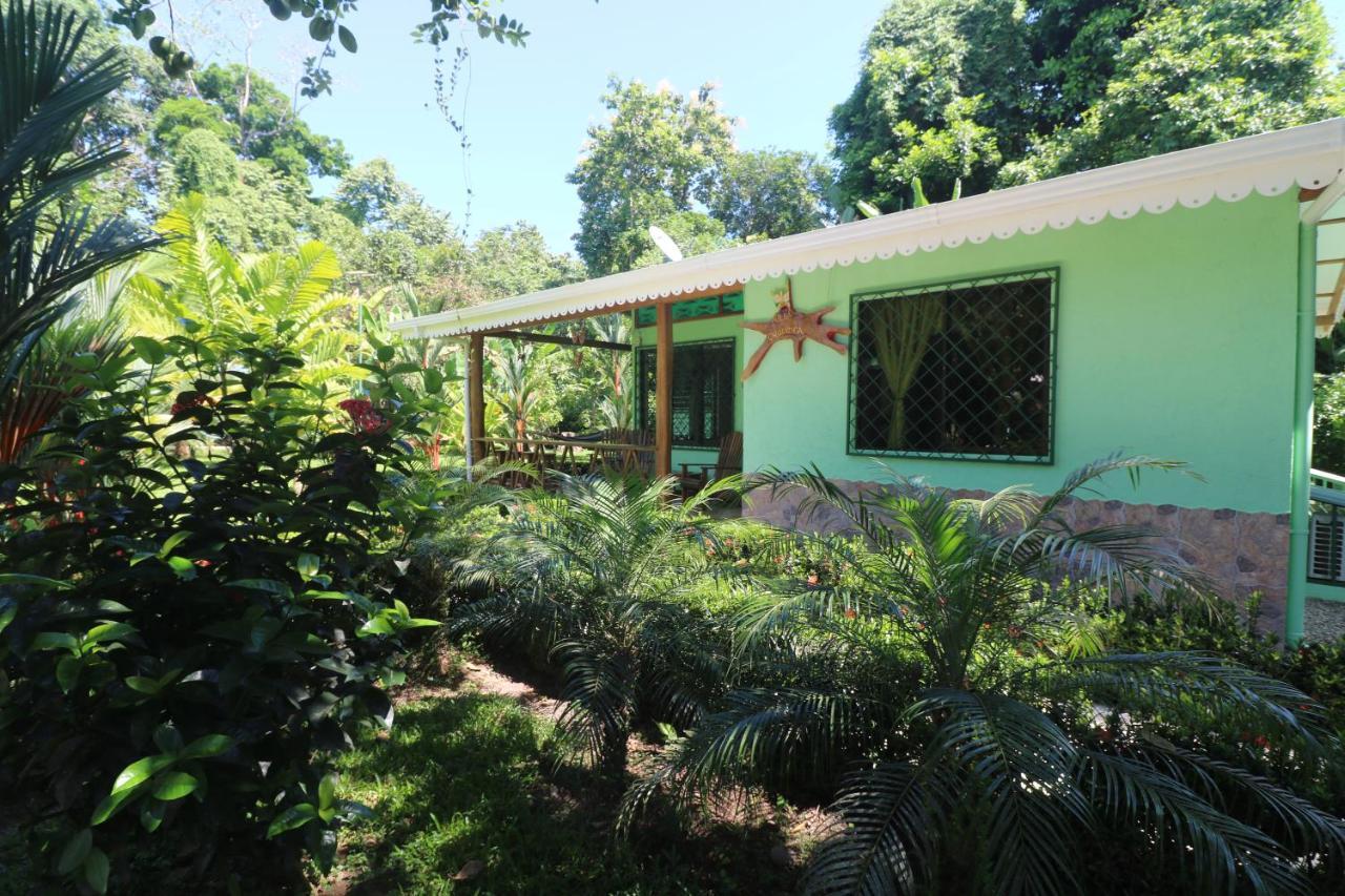New Caribe Point Villa Cahuita Exterior foto